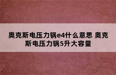 奥克斯电压力锅e4什么意思 奥克斯电压力锅5升大容量